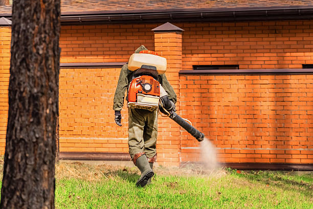 Top rated local Wasp Removal specialists in Brookfield, NJ